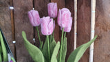 Tulips - Printed to Order
