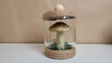 Woodland Scenes - Mushroom Jars