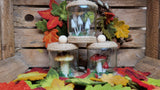 Woodland Scenes - Mushroom Jars
