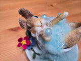 Bunny Bubble Bath