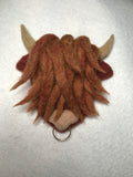 Highland Coo