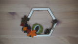 Hexagon Frame - Self Assembly