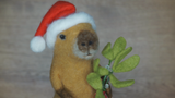 Christmas Capybara