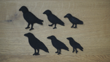 Murder of Crows - Printed To Order