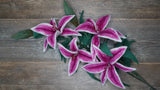 Stargazer Lily Template Set - Printed to Order