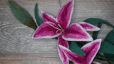 Stargazer Lily Template Set - Printed to Order