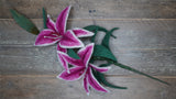 Stargazer Lily Template Set - Printed to Order