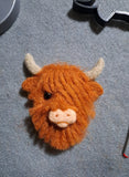Highland Coo