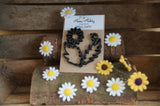 Daisy Needle Felting Template surrounded by felted daisies