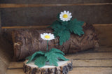 two needle felted daisies with a rustic log base and background
