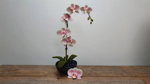 Orchid Project